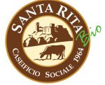 Santa Rita Santa Rita